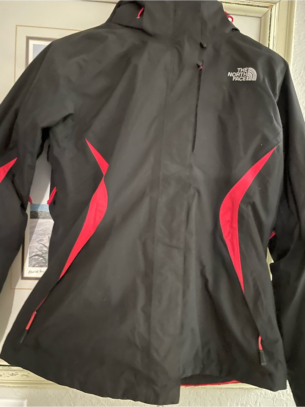 The North Face Black Jacket with Red Accents The North Face Womens Medium